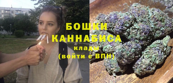 дурь Магас