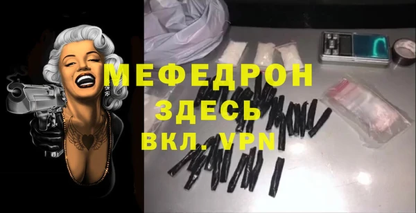 индика Медвежьегорск