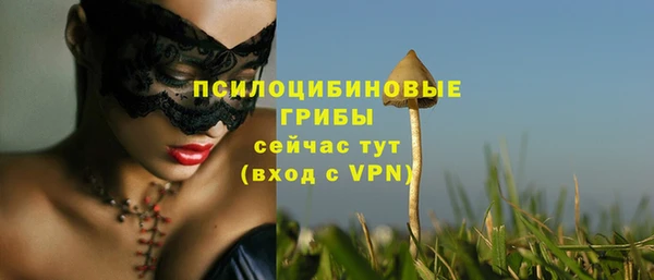 каннабис Бородино