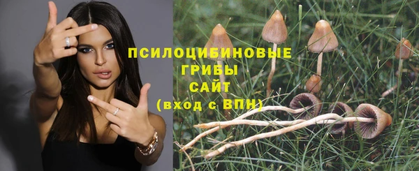 каннабис Бородино