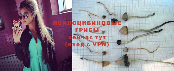 ALPHA PVP Майский