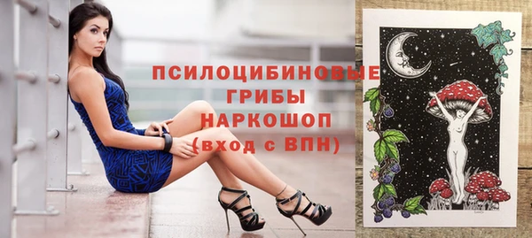 дурь Бронницы