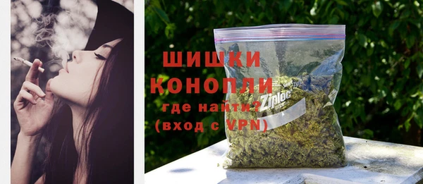 дурь Бронницы