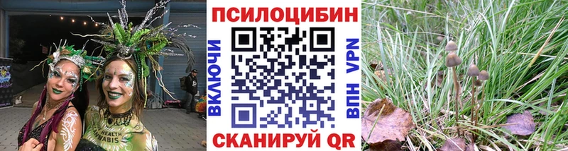 блэк спрут онион  наркотики  Вичуга  Галлюциногенные грибы Magic Shrooms 