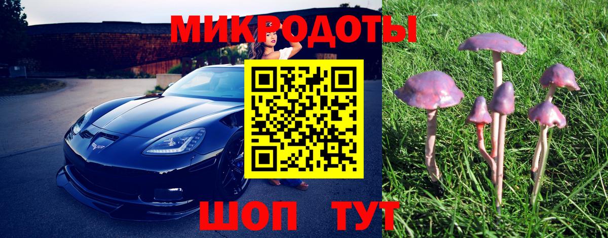 Галлюциногенные грибы прущие грибы  Псилоцибиновые грибы Magic Shrooms  Вичуга  Вход с VPN 