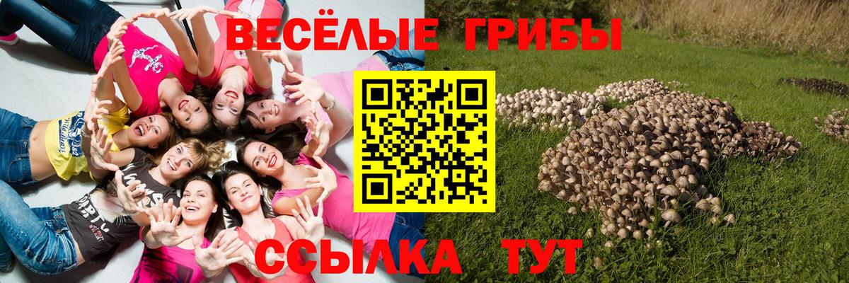 Галлюциногенные грибы прущие грибы Вичуга