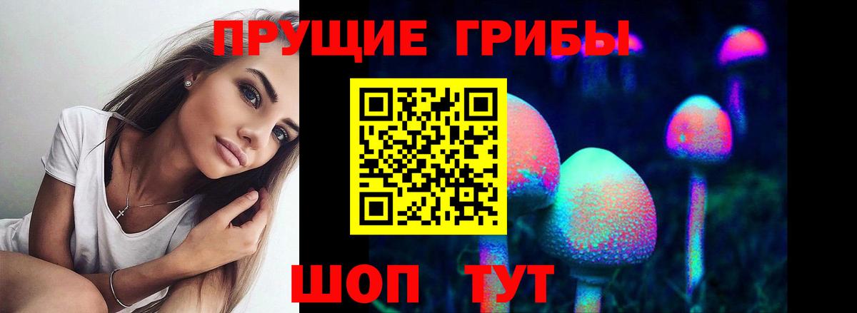 Псилоцибиновые грибы Psilocybine cubensis  Вичуга  Галлюциногенные грибы GOLDEN TEACHER 